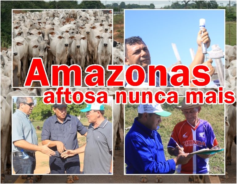 DAVID DEIXARÁ O GOVERNO COM AMAZONAS LIVRE DA FEBRE AFTOSA