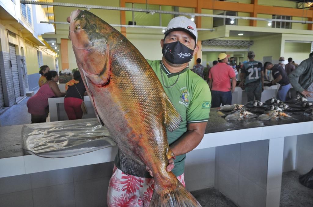 Inspiração e aprendizado com grande ícone 'Mequinho' marcam Torneio de  Xadrez Solidário em Manaus 