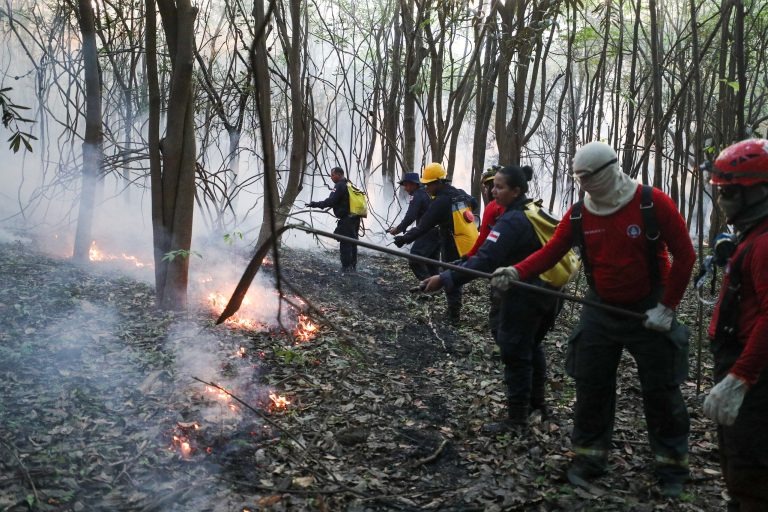 Corpo de Bombeiros do Rio leva mais cinco medalhas e quebra o