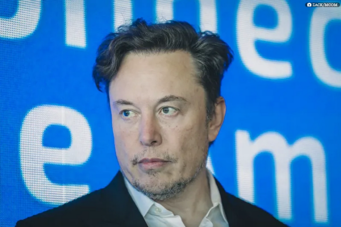 musk.webp.webp