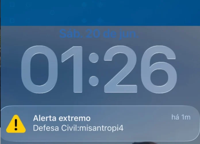 misaee_alo_alo_bahia.webp