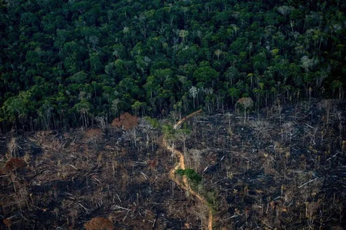 1_oeco2_afp_desmatamento_amazonia_000_9py7ke_mauro_pimentel_afp-28449384.webp