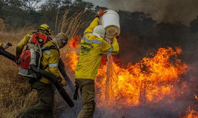 incendio-1140x682-1.webp