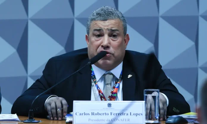 lula7884.webp