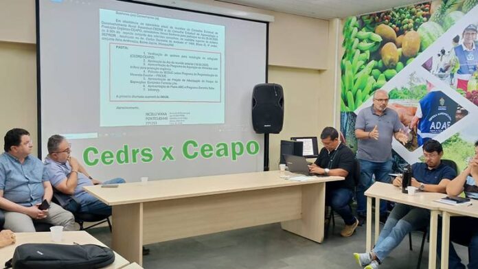 WhatsApp Image 2026-09-29 at 12.25.50 - Copia